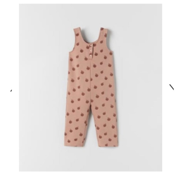 NWT | Zara | Apple Overalls - Picture 6 of 8